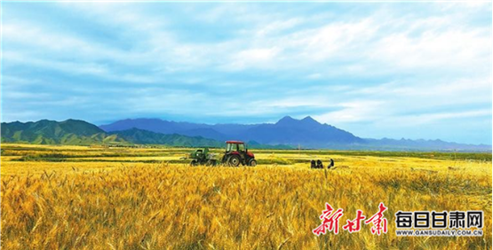 【图片新闻】秋分将至 民乐县南丰镇境内呈现出一派丰收景象